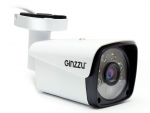 IP камера Ginzzu HIB-5303A