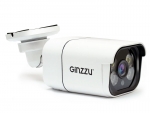 IP камера Ginzzu HIB-2302B